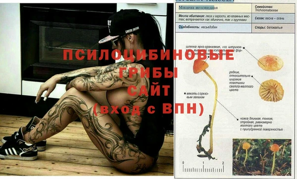 амф Беломорск
