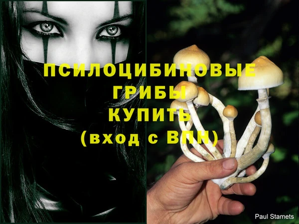 амф Беломорск