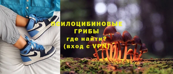 амф Беломорск