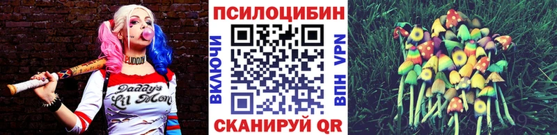 Галлюциногенные грибы Psilocybine cubensis  Мглин 